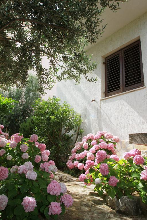 Apartments Sanader Okrug Gornji Εξωτερικό φωτογραφία